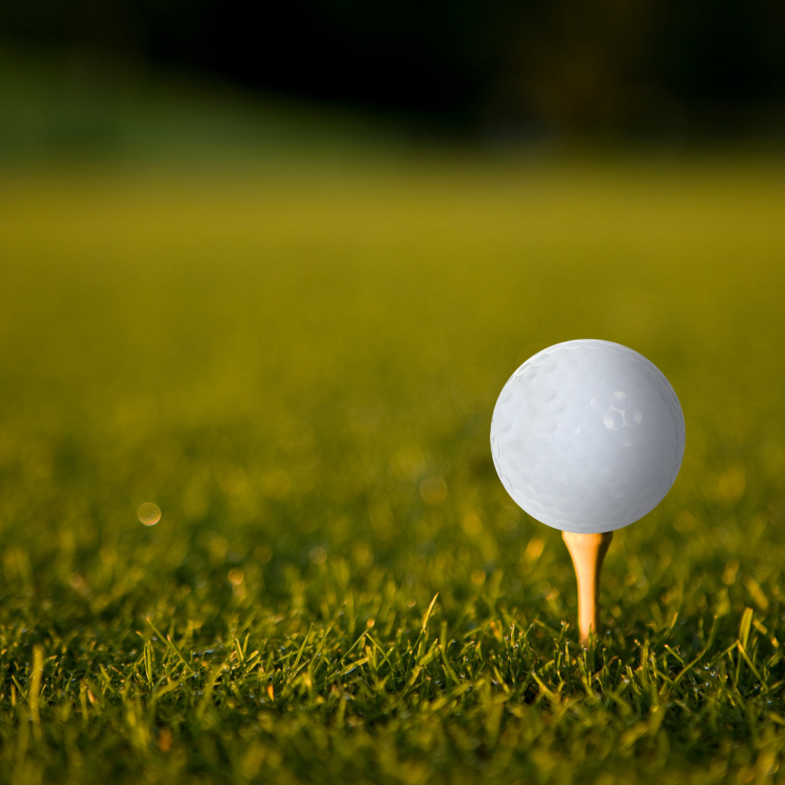 Indoor Practice Golf Balls Equ - Golf Equipment For Beginners review and price