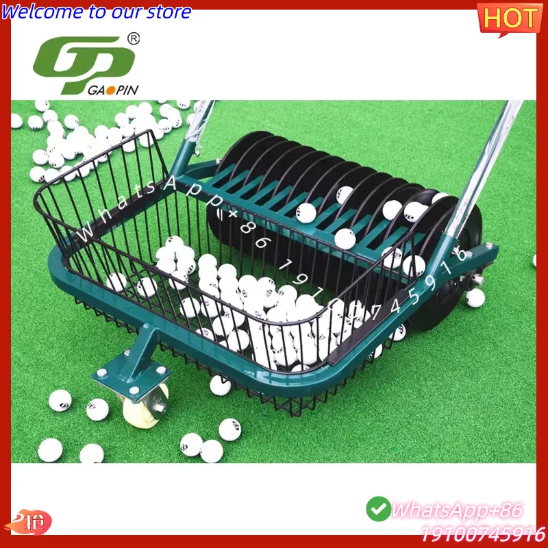 CECertificate Professional Gol - Golf Equipment Manufacturers review and price